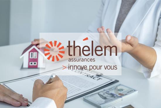thelem-uses-sales-and-marketing-and-geoconcept-web