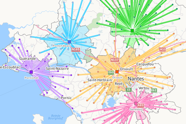Geoconcept-GIS-flow-map